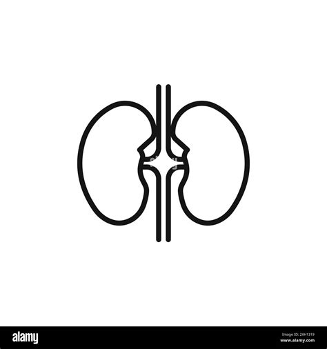 Kidney Icon Logo Sign Vector Outline In Black And White Color Stock