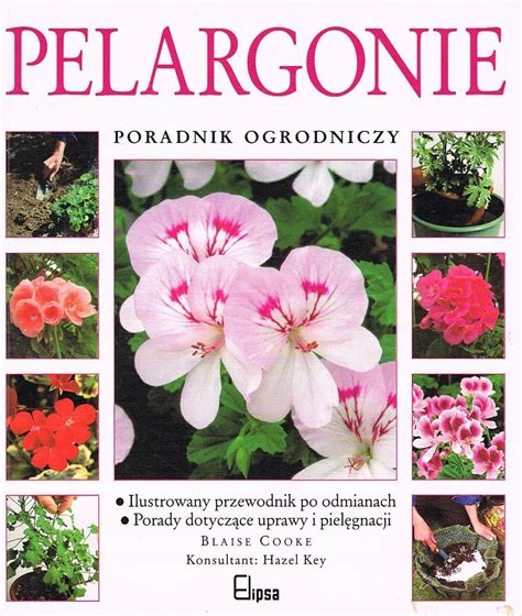 Pelargonie Poradnik Ogrodniczy Blaise Niska Cena Na Allegro Pl