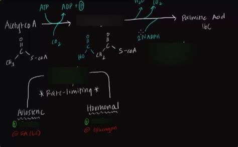 Biochemistry Ii Module Of The Mcat Self Prep Ecourse Lesson Fatty