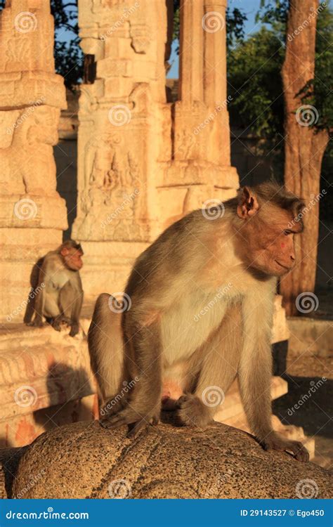 Monkey Temple (Hanuman) in Hampi, India. Stock Image - Image of heritage, monument: 29143527