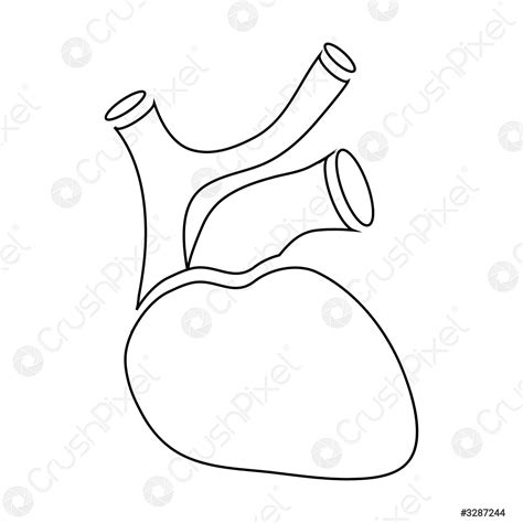 Human Heart Icon Outline Style Stock Vector 3287244 Crushpixel