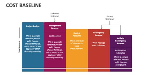 Cost Baseline Powerpoint Presentation Slides Ppt Template