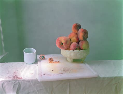 meet  artist laura letinsky