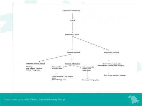 Urology Referrals Qp Day 511 Ppt Download