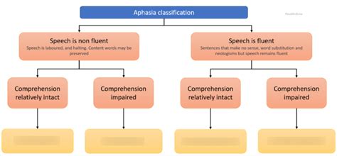 Types Of Aphasia Diagram Quizlet