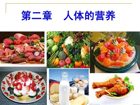 第一节食物中的营养物质word文档在线阅读与下载无忧文档