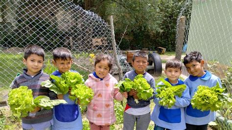 Actividades En Jardines De Infantes