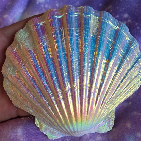 dream big ﾟ Mermaid shell Mermaid Sea shells