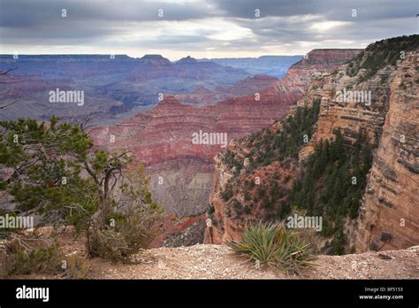 View from Yavapai Point at sunrise, Grand Canyon National Park, South ...