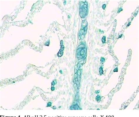 Figure 1 from Identification of Glycoproteins in Mucous Cells of Epidermis and Gill of Tinca ...