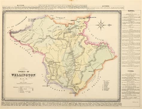 County of Wellington NSW - Antique Print Map Room