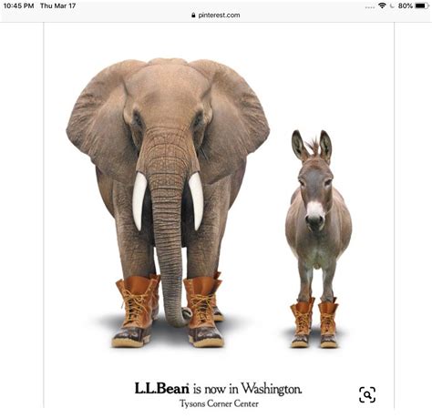 smart   word association  advertising design ll bean  big ad
