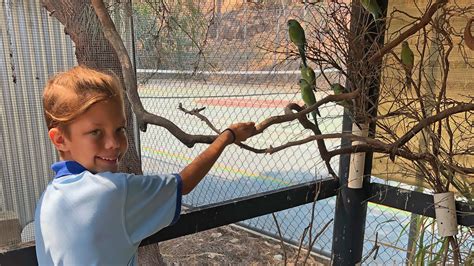 These Students Are Breeding Endangered Finches. But Will It Save the Species? | Live Science