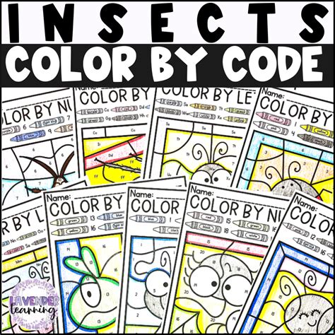 Bug Insect Color By Code Insect Color By Number Insect Color By