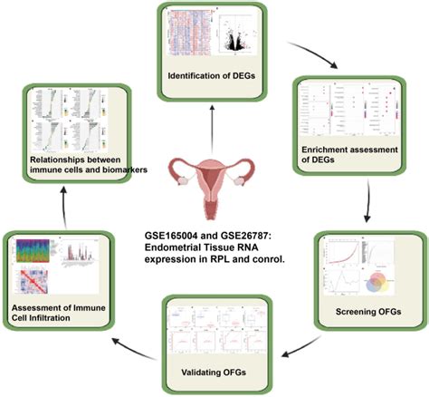 Identification Of Novel Biomarkers And Immune Infiltration Features Of