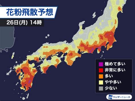 【花粉に注意】東京でも大量飛散のおそれ 。飛びやすいのはどこ？ ハフポスト News