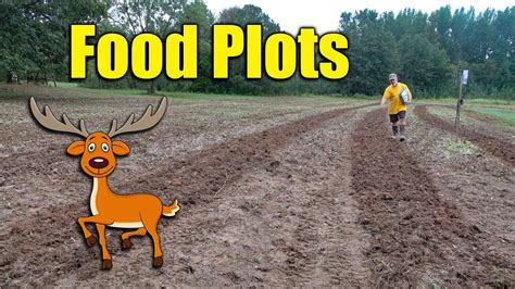 Planting Deer Food Plots Youtube