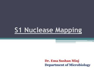 S Nuclease Mapping Ppt