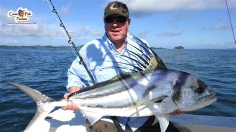 Roosterfish Photos View Trophy Size Fish Come Fish Panama