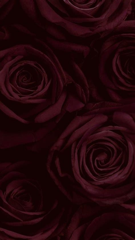 Maroon Wallpapers Aesthetic Aesthetic Backgrounds Aesthetic Iphone