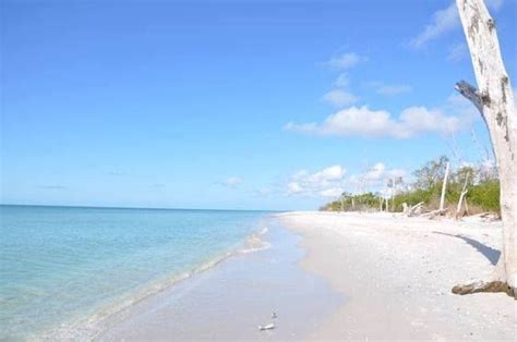 The Waters Of Stump Pass Beach Florida Are Just Beautiful Florida Vacation Florida Travel