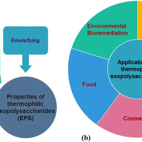 Properties (a) and applications (b) of thermophilic exopolysaccharides... | Download High ...