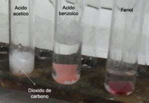 Quien Es Mas Soluble El Acido Benzoico O El Almidon