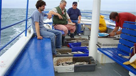 Aigue Marine P Che Promenades En Mer Une Aventure Inoubliable