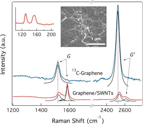 Typical Raman Spectra Collected With 633 Nm Excitation From The Download Scientific Diagram