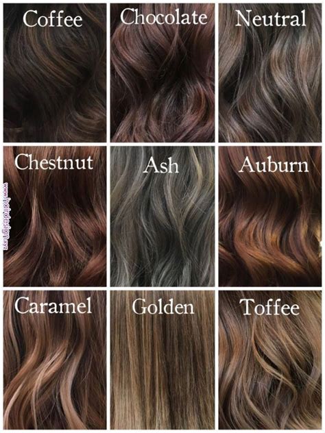 The How To Dye Hair Light Brown From Dark Brown For Hair Ideas Best Wedding Hair For Wedding