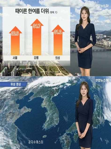 내일 초여름 더위자외선 지수 매우 높음 오존 및 미세먼지 유의 통합