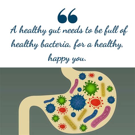 A Healthy Gut For A Healthy You Nicoles Nutrition Kitchen