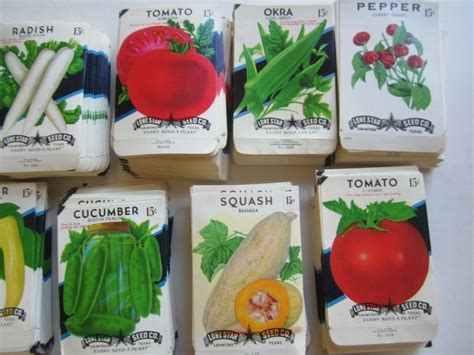 Old Vintage Vegetables Seed Packets Lone Star Seed Co San Etsy