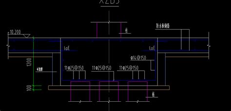 有没老师知道这个桩承台如何设置钢筋 服务新干线答疑解惑