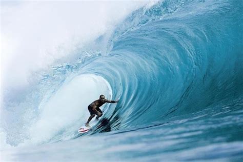 Tom Carroll (surfer) - Alchetron, The Free Social Encyclopedia