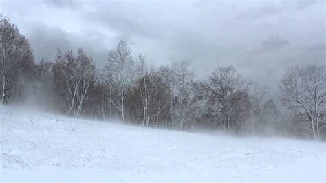 Winter Wind 1 Hour Relaxing Snowstorm Sound Winds Blowing Snow Across Forest Meadow Youtube