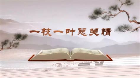 《平“语”近人——习近平总书记用典》今晚播出第一集：一枝一叶总关情新闻频道央视网