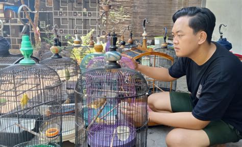 Jual Beli Burung Kenari Bikin Pemuda Probolinggo Raup Pendapatan