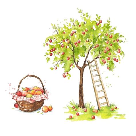 Premium Vector Apple Tree With A Ladder And A Basket Of Ripe Appples