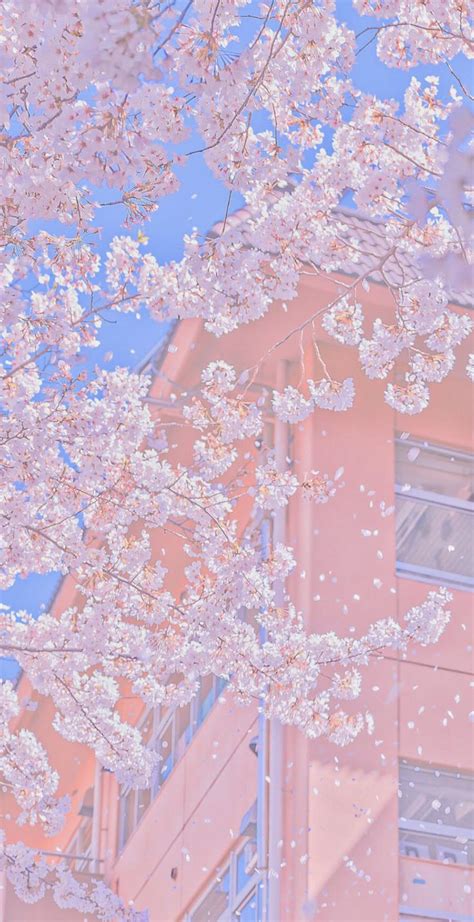 🌸🌸🌸 🄵🅁🄾🄼 𝖎𝖗𝖊𝖓𝖊 Aesthetic Pastel Wallpaper Scenery Wallpaper Cute