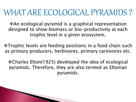 Ecological pyramid | PPT