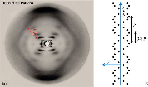 A The Well Known Photo 51 The Diffraction Pattern From Dna In Its Download Scientific