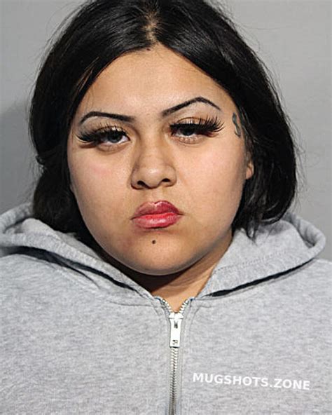 Michelle Carmona Chicago Mugshots Zone