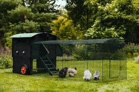 Large Raised Coop By Nestera Taylor Made Poultry