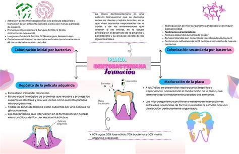 Resúmenes de Placa bacteriana Descarga apuntes de Placa bacteriana