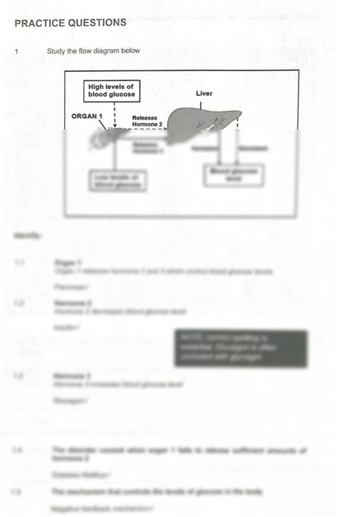 SOLUTION Homeostasis And Endocrine Practice Questions Studypool