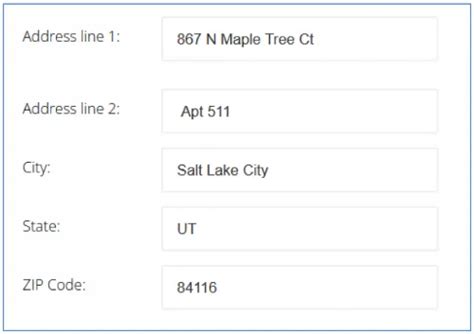 Address Line Meaning Uses Placement And Examples