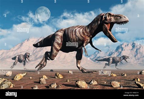 Fleischfressende T Rex Dinosaurier Pack Jagd Stockfotografie Alamy