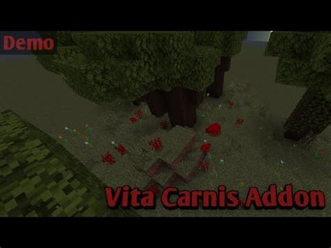 Vita Carnis Addon Demo Minecraft 1 20 YouTube