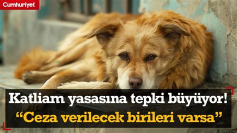 Katliam yasasına tepki büyüyor Avukat Tavşancıl anlattı Bugün ceza